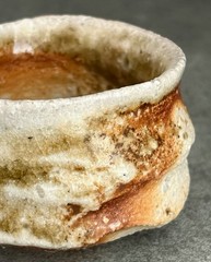 Hide Fujimoto Anagama Guinomi Sake Cup Natural Ash Shigaraki Ware Japan Ceramic