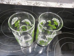 2 Vintage Libbey Queen Ann’s Lace Water Glass Tumblers 5 1/2″ Tall EUC