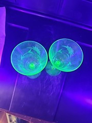 #5056 Vintage Uranium Cordial Glass Etched Flowers Set/2 5.50″