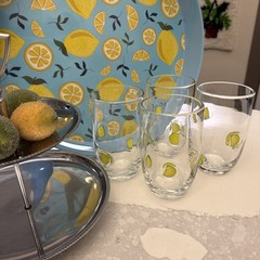 Anthropologie Lemon Lime Slice Drinking Glasses Set Of 4