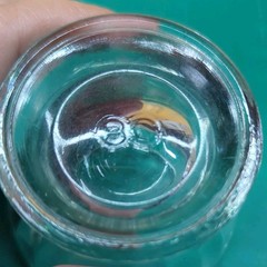 4 Depression Clear Shot Egg Glass Bartlett Collins Twitch Pattern Optic Panel