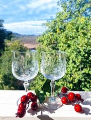 Etched Star Pinwheel Cut Crystal Liszt Water Goblets by Kristal Zajecar Set of 2