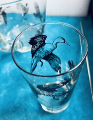 Richard E Bishop Fly Waterfowl 3 Cocktail Bar Tumblers 5.5″ tall handled pitcher
