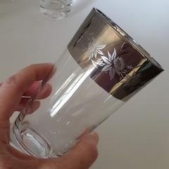 SET (4) Dorothy Thorpe Style Silver Band Thistle Tropical Floral Highball Glass