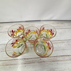 Set of 5 Vintage Juice Glasses, Red Yellow & Green Floral, Retro