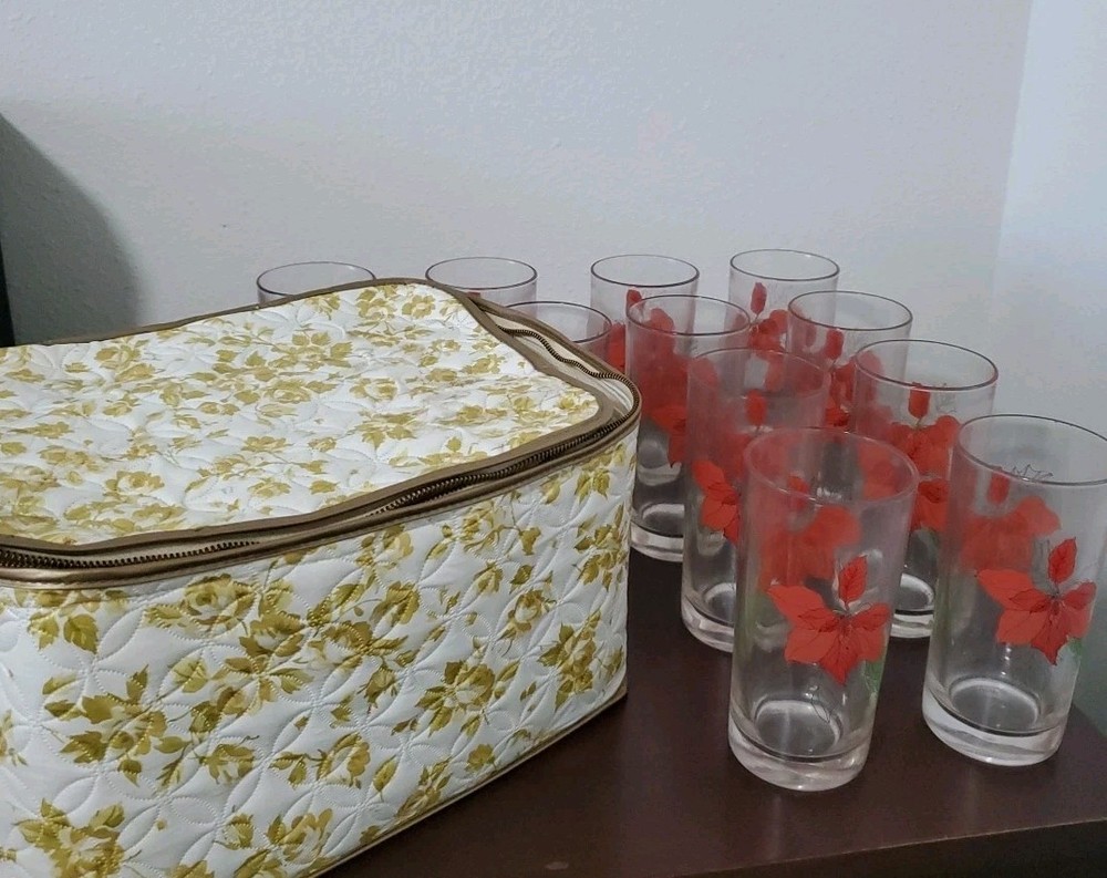 11 Vtg Mary Goertzen Block Pointsetta Glass Set Made In Portugal w Floral Case