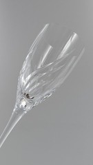 10 Elegant Rogaska Crystal Juliet Cut Wine Glasses Goblets Set 8 1/2″