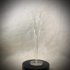 Nice WATERFORD Crystal True Love Forever Champagne Toasting Flute 7oz – 11″