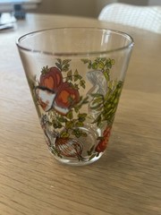 VTG Spice of Life Glass Tumbler Mushroom Tomato Pattern