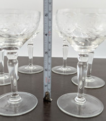 Set of 6 Vintage Champagne Coupe Etched Floral Toasting Glasses Petite