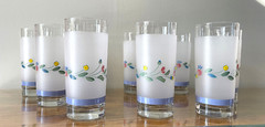 Floral Expressions 16 OZ FROSTED GLASS TUMBLERS by Hearthside Set of 10 Tumblers