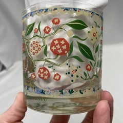 Vtg MCM Georges Briard Glasses Set Of 4 Applique and Embroidery Birds Flowers
