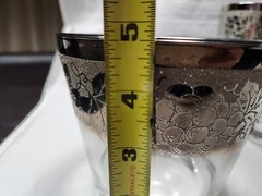 Vitreon Queens Luster Silver Fade Etched Grape MCM 6 Glasses + Ice Bucket