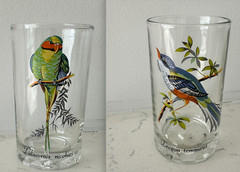 Vintage Palaeornis Tropical Bird Parrot &Trogon Temnurus Glass Tumbler Set of 2