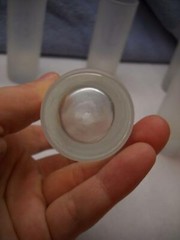 SET OF 12 Frosted Sides CLEAR Base CIRCLE T Monogram SHOT FLUTES Round Design