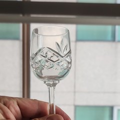 Bohemia Crystal Patricia Lead Crystal Glasses – Set of 6 – Never Used