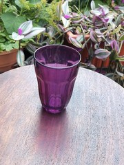 4 Pasabahce PALAKS Jewel Colored 6 oz Juice Glasses Purple Green Orange Yellow