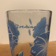Vintage Boscul Peanut Butter Flower MORNING GLORY Blue White Drinking Glass 5”