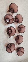 8 Vintage Arcoroc France Glassware Rosaline Pink Swirl Tea Coffee Cup