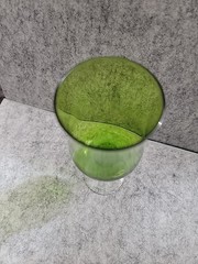 Vtg Peedee Hand Blown Tulip Wine Glass Green Clear Twisted Stem Made In Japan