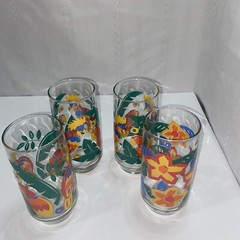 Libbey Drinking Glasses 16 oz Tumblers TROPICAL Birds, Flowers Set of 4