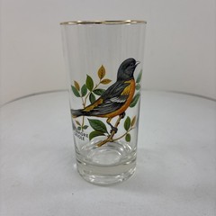 “Baltimore Oriole” Vintage 12oz Flat Tumbler By West Virginia Glass Specialty