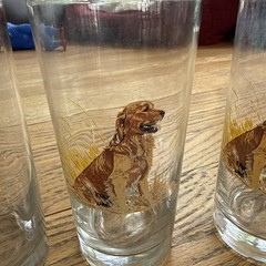 Vintage Drinking Glasses Hunting Dogs
