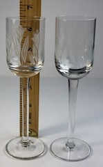 Set Of 2 Tuscany Tulip Etched Wine Glasses