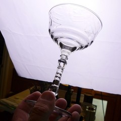 Libbey / Rock Sharpe (Arctic Rose 3005) 6 1/8″ CHAMPAGNE GLASS(es) Exc (8 avail)