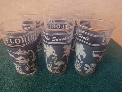 Vintage Glasses Florida Souvenir Tumblers Set of 6 Blue with Carrier – MCM
