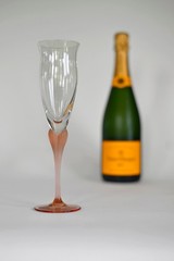 One 1980s Mikasa Sea Mist Coral Frosted Stem Champagne Flute Crystal W Germany