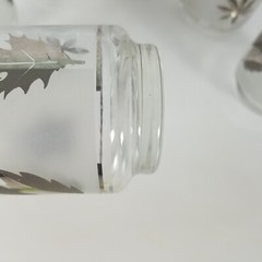 Vintage MCM Silver Leaf Frosted 6 pc Drinking Glass Set by Libbey Leaves Foliage