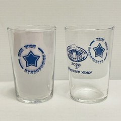 2 Maine Lakes Brewfest 2020/21 «the missed year» glasses highwire hydroponics.