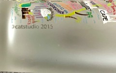 CATSTUDIO Souvenir Glass 2015 FLORIDA Sunshine State Frosted Tall Tumbler