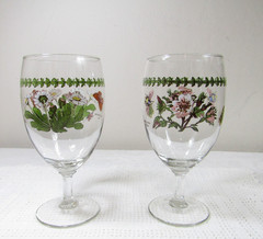 Portmeirion Botanic Garden Ice Tea Water Wine Stem Glass Goblets Rose & Daisy