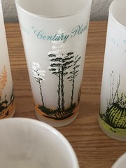 Vintage Blakely Oil & Gas Arizona Cactus Frosted Glasses Highball Full Set of 8
