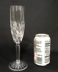 Marquis by Waterford Brookside Fluted Champagne Glass 9” Tall
