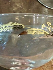 (4) Lifetime Homer Laughlin Prairie Gold Wheat – Crystal Sherbet Champagne Glass