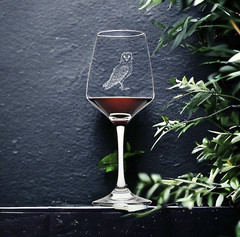 Barn Owl Wine Glasses x4 Premium 12 Oz Personalize Animal Outdoor Gift NEW