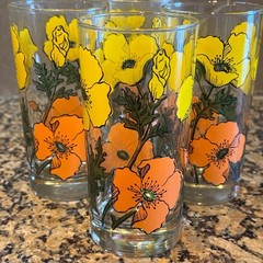 Vintage Set Of 4 Libbey Tumblers 1960/1970’s Poppies & Flowers 5.5” 12 Oz MCM