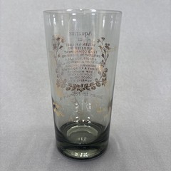 Vintage Zodiac Smoky Highball Glass Tumbler Set of 3 Aquarius Libra Scorpio