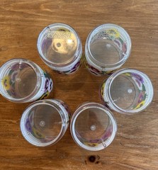 Set Of 6 Vtg Culver Pansy 4 Inch Tall Acrylic Tumblers