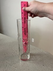VTG Libbey La Femme Nude Exotic Dancer Woman Highball Drinking Glass Women