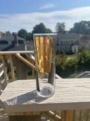Vintage 1960s Cera Presidential Coin 22 Karat Gold Highball Glass MCM