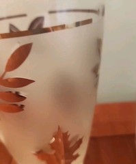LIBBEY Golden Foliage Gold Leaf Frosted 12 oz Tumblers MCM 7-Glasses Retro EUC