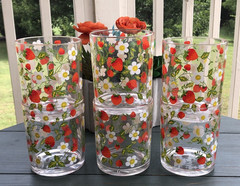 Vintage Strawberries and White Daisy Short Tumblers/Glasses Lucite Set of 6