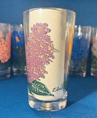 VTG Set of ✨12 ✨Boscul Peanut Butter Glasses MCM Floral Tumblers UNUSED MINT