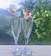 Bohemia Crystal Champagne Flutes Hand Cut «VICTORIA» Collection Set of 2