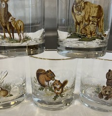 Vintage West Virginia Specialty Glass American Wildlife rocks glasses lot of 7
