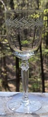 Fostoria Holly Clear (6030) MCM Crystal Water Wine Goblets 7-7/8″ – Set of 4
